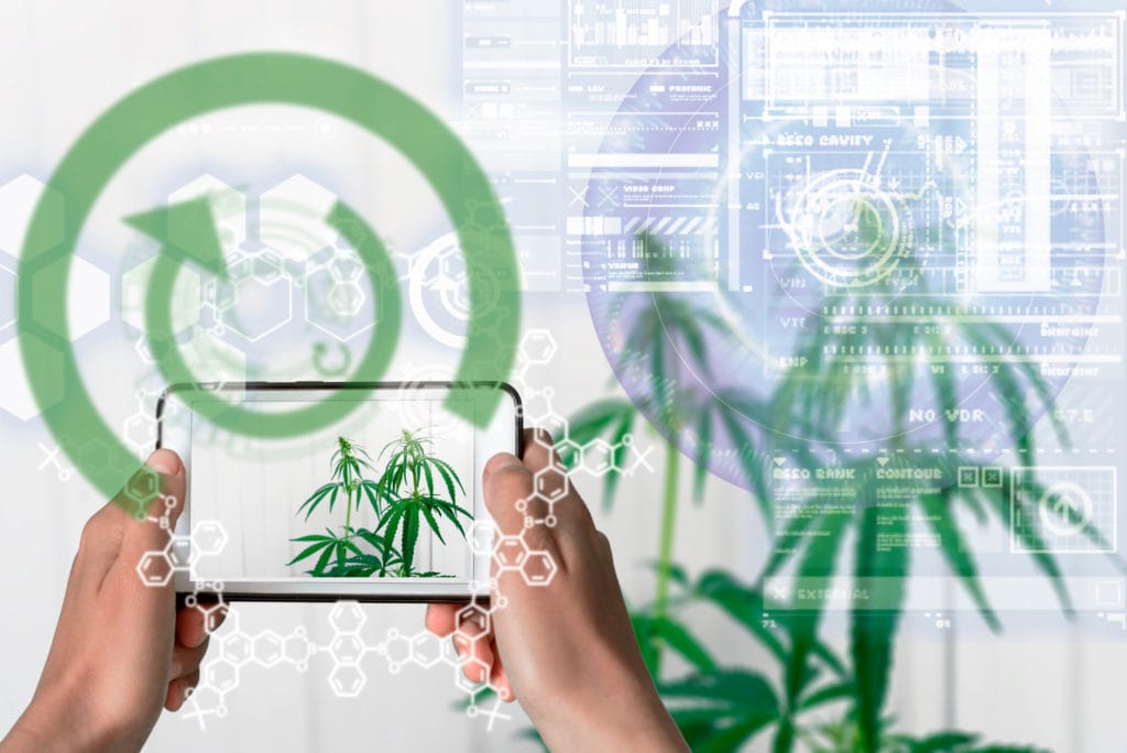 Here Are the Top I.T. Problems in the Cannabis Industry and How to Solve Them - K3 Technology Blog Article